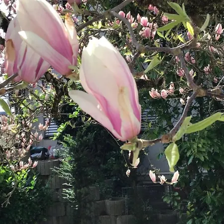 Haus Seeblick * מרקדורף